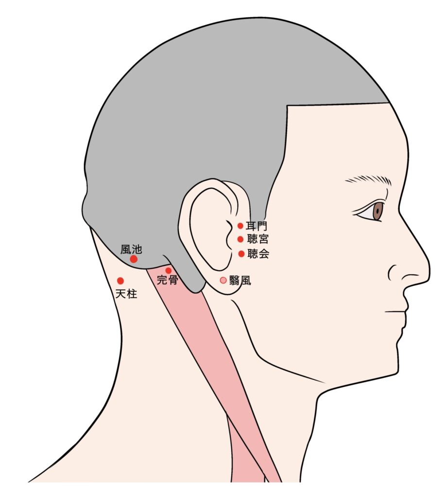 耳鳴りツボ