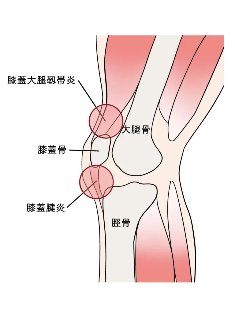 活動歴および当時の関連ビジュアル記録